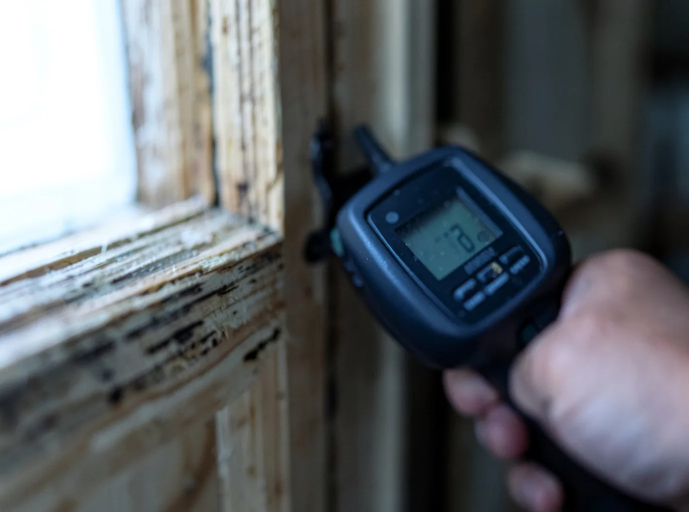 Moisture Inspection And Documentation in Independence, CA